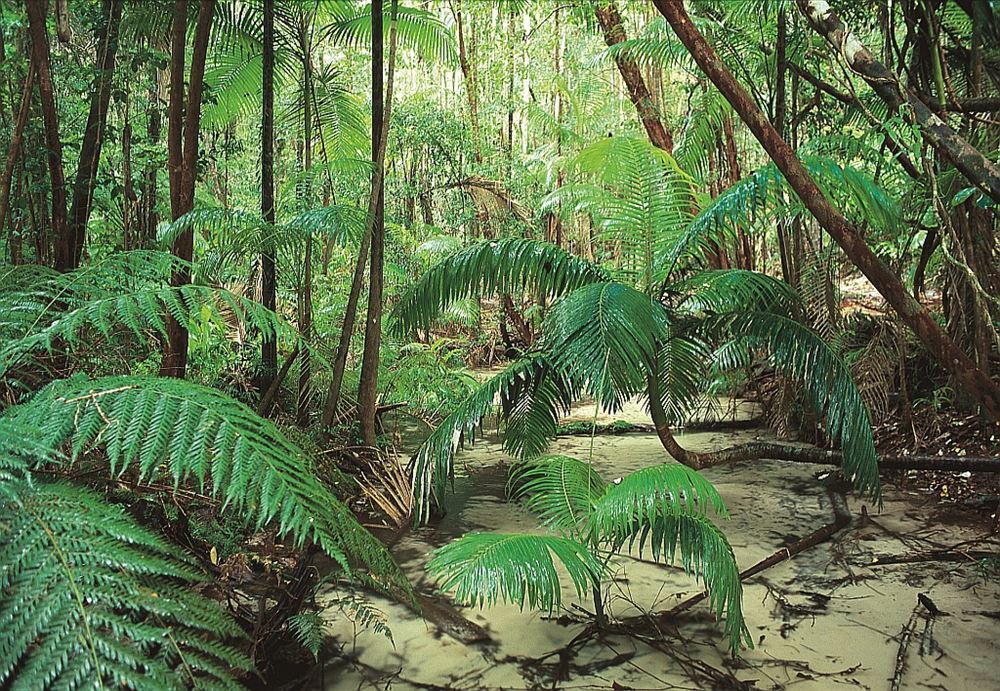 Drive Queensland: Bruce Highway from Brisbane to Cairns